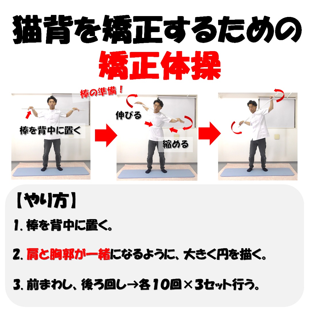 整体で猫背を治す前に試した方が良い猫背体操３選 小顔矯正 整体を東京でお探しならrevision