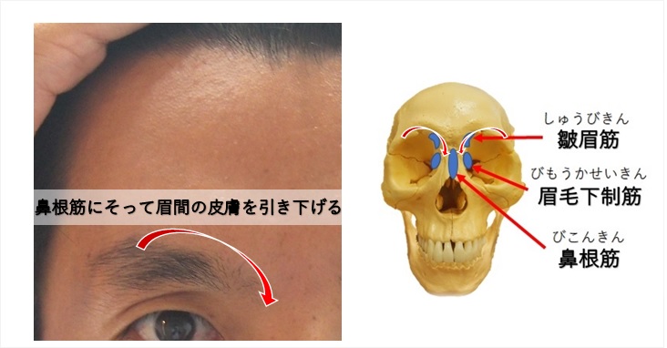 眉毛の高さが違うのには筋肉に原因がある３つの理由と対処法 小顔矯正 整体を東京でお探しならrevision