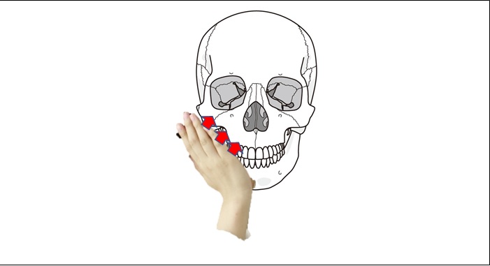 頬杖による骨への圧のイメージ