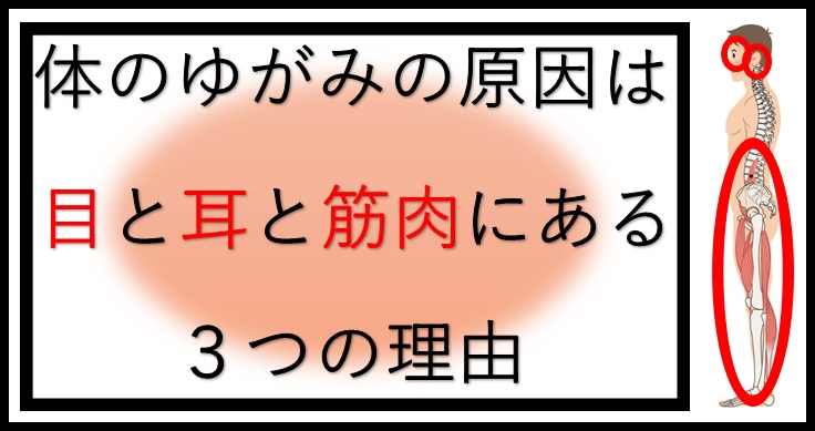 体のゆがみの原因は目と耳と筋肉にある３つの理由 小顔矯正 整体を東京でお探しならrevision