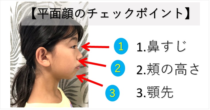 顔が平面だと思ったらチェックすべきポイント３つ 小顔矯正 整体を東京でお探しならrevision