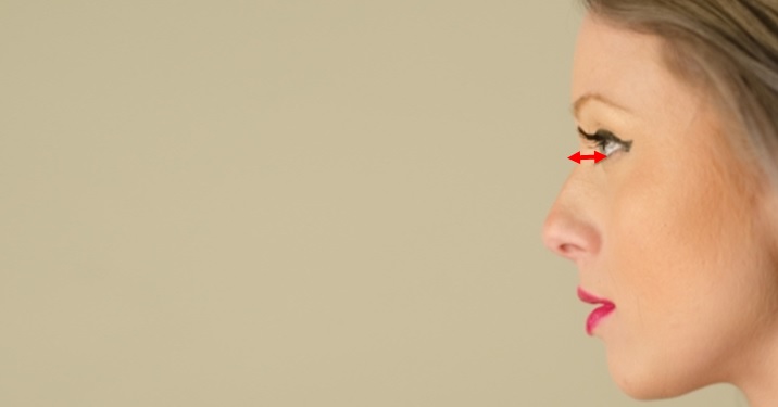 女性外国人の鼻筋を強調を強調した横顔