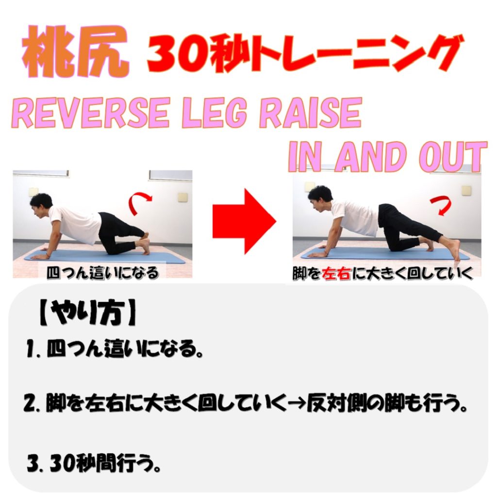 reverse leg raise in and out