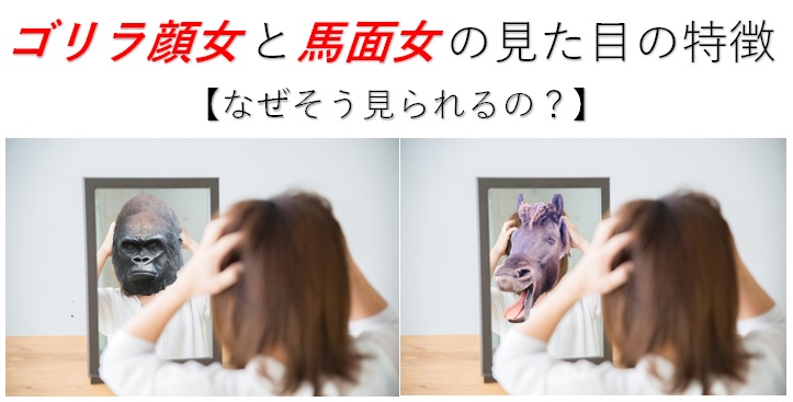 ゴリラ顔女と馬面女の見た目の特徴 なぜそう見られるの 小顔矯正 整体を東京でお探しならrevision