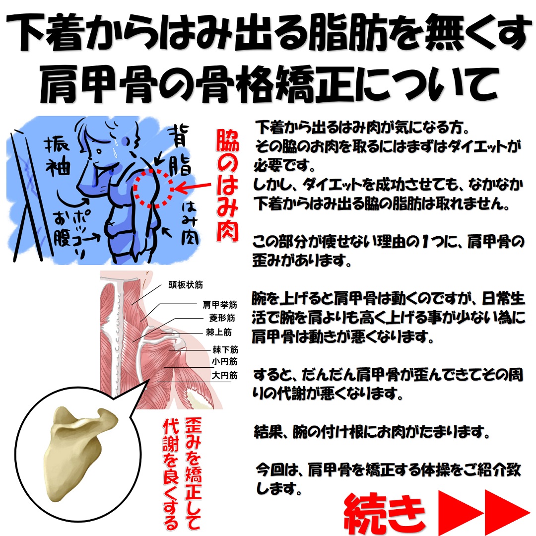 肩甲骨のずれを整えれば肩周りが痩せてみえるって本当 小顔矯正 整体を東京でお探しならrevision