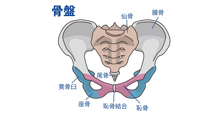 尾骨が出てる人はこう座っている 知れば防げるその痛み 小顔矯正 整体を東京でお探しならrevision