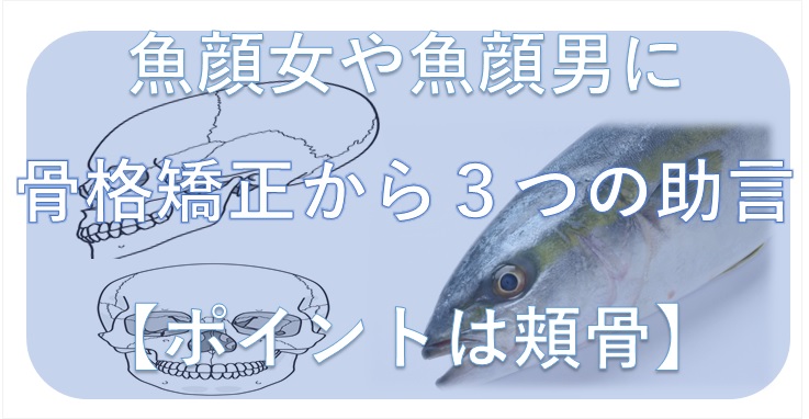 魚顔女や魚顔男に骨格矯正から３つの助言 ポイントは頬骨 小顔矯正 整体を東京でお探しならrevision
