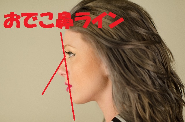 横顔をキレイに見せる鼻と頬骨のバランスのとり方のまとめ 小顔矯正 整体を東京でお探しならrevision