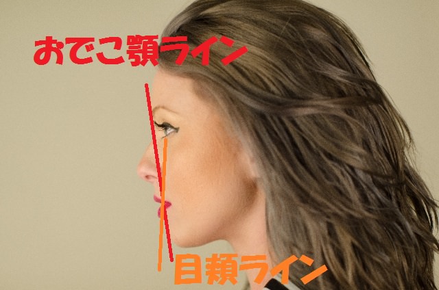 頬骨を引っ込める方法を伝授 自分で行う頬骨が高い人のお悩み解消術 小顔矯正 整体を東京でお探しならrevision