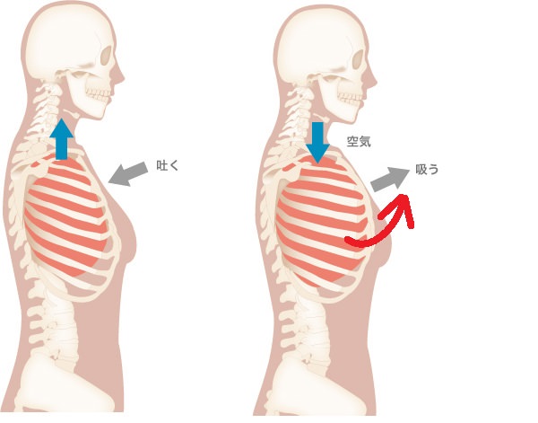 整体で顔の歪みが治せない方の共通点 学んで防ぐ無駄遣い 小顔矯正 整体を東京でお探しならrevision