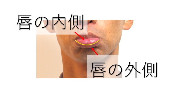 下唇の内側と外側