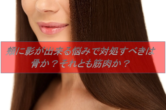 頬に影が出来る悩みで対処すべきは骨か それとも筋肉か 小顔矯正 整体を東京でお探しならrevision