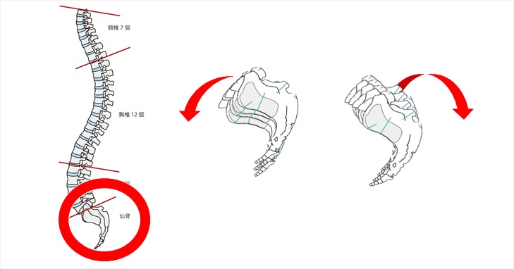 仙骨が出てると思った時にはこのセルフ整体法で押し込め 小顔矯正 整体を東京でお探しならrevision