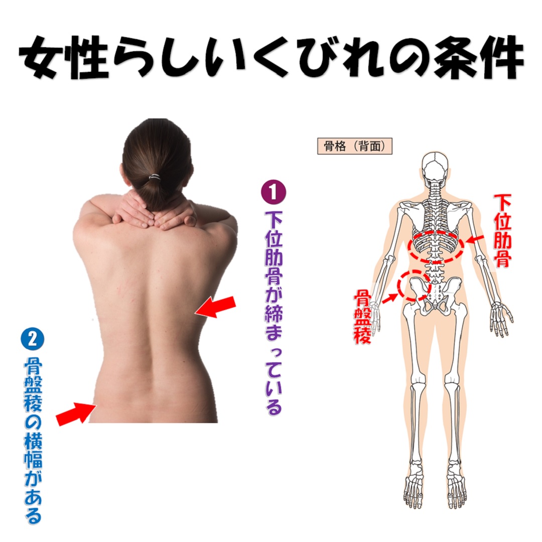 女性らしいくびれは骨格から治すと更に細くなるって本当 小顔矯正 整体を東京でお探しならrevision
