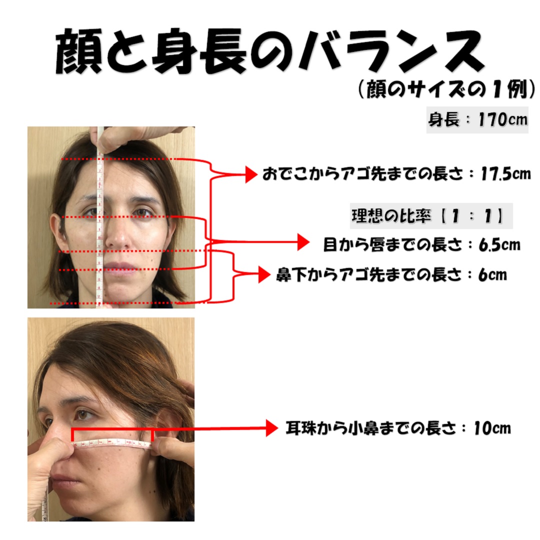 小顔の基準値計測はセンチと共に角度も測れ 小顔の構造 小顔矯正 整体を東京でお探しならrevision
