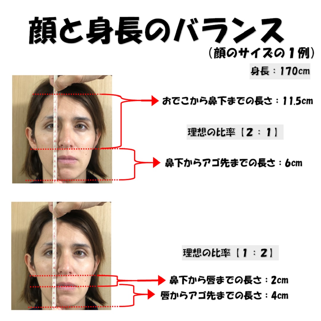 小顔の基準値計測はセンチと共に角度も測れ 小顔の構造 小顔矯正 整体を東京でお探しならrevision