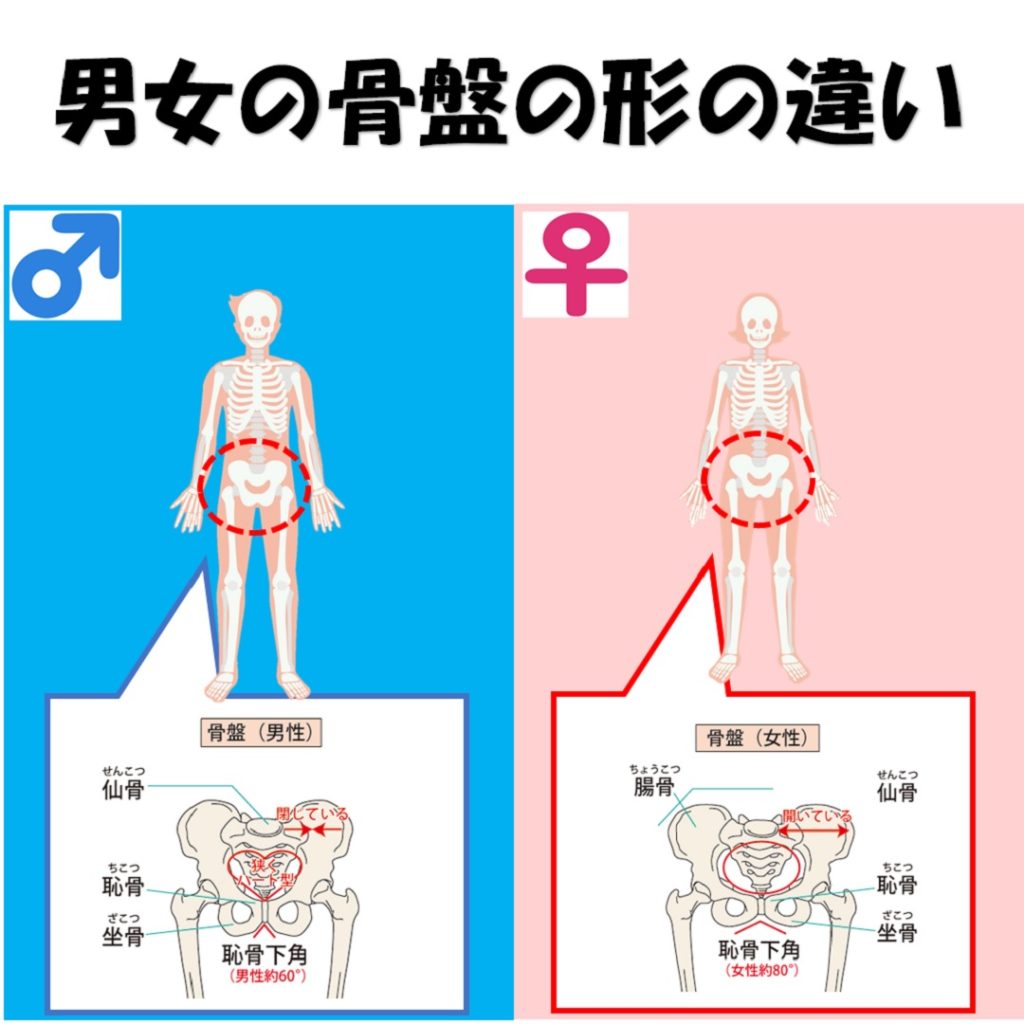 女性らしいくびれは骨格から治すと更に細くなるって本当？ 小顔矯正・整体を東京でお探しならRevision