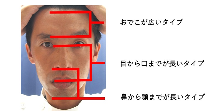 顔のどの部分が長いかを説明した画像