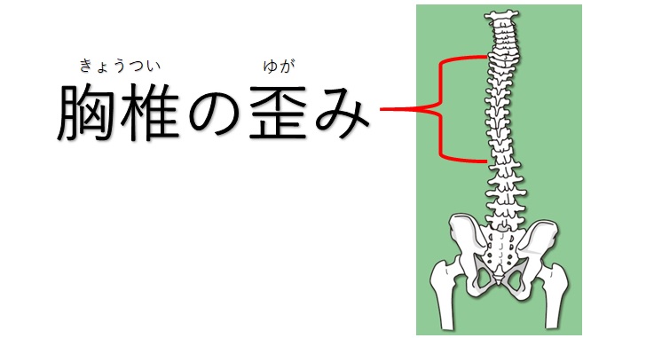 肋骨を絞めるには寝方にこだわれ 簡単寝るだけ矯正法 小顔矯正 整体を東京でお探しならrevision