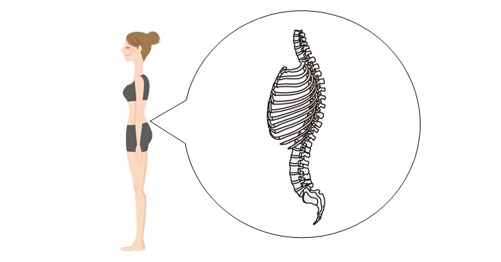 正しい姿勢と肋骨の関係性