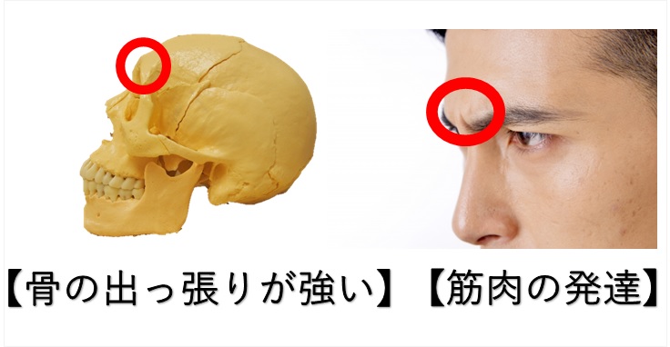 ヒラメ顔女子に警告 これを続けると平たさが増しますよ 小顔矯正 整体を東京でお探しならrevision