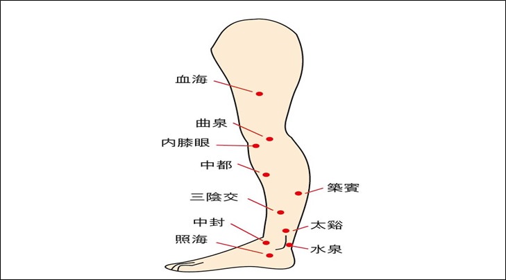 着床させる為に鍼灸師が行う事は妊娠しやすい脈作り 小顔矯正 整体を東京でお探しならrevision