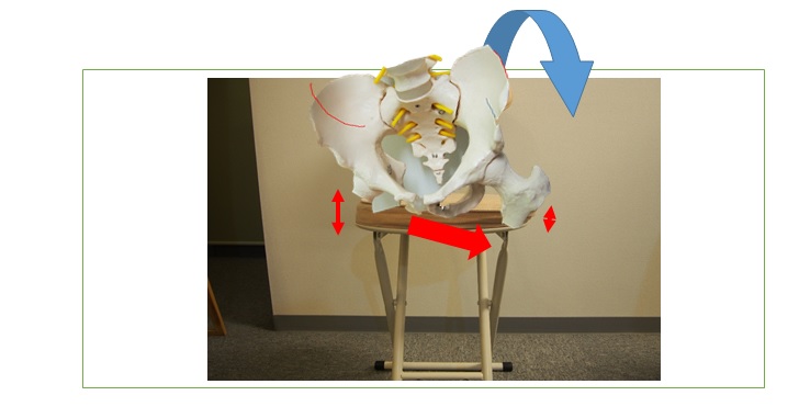 尾骨が出てる人はこう座っている 知れば防げるその痛み 小顔矯正 整体を東京でお探しならrevision