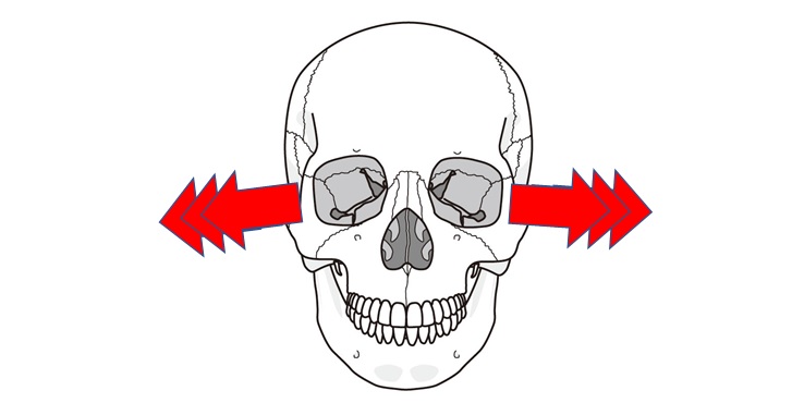 外側からの側頭骨と蝶形骨の動き