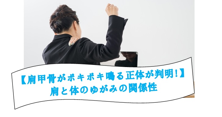 肩甲骨がポキポキ鳴る正体が判明 肩と体のゆがみの関係性 小顔矯正 整体を東京でお探しならrevision