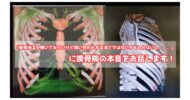 肋骨治るか？のタイトルアイキャッチ
